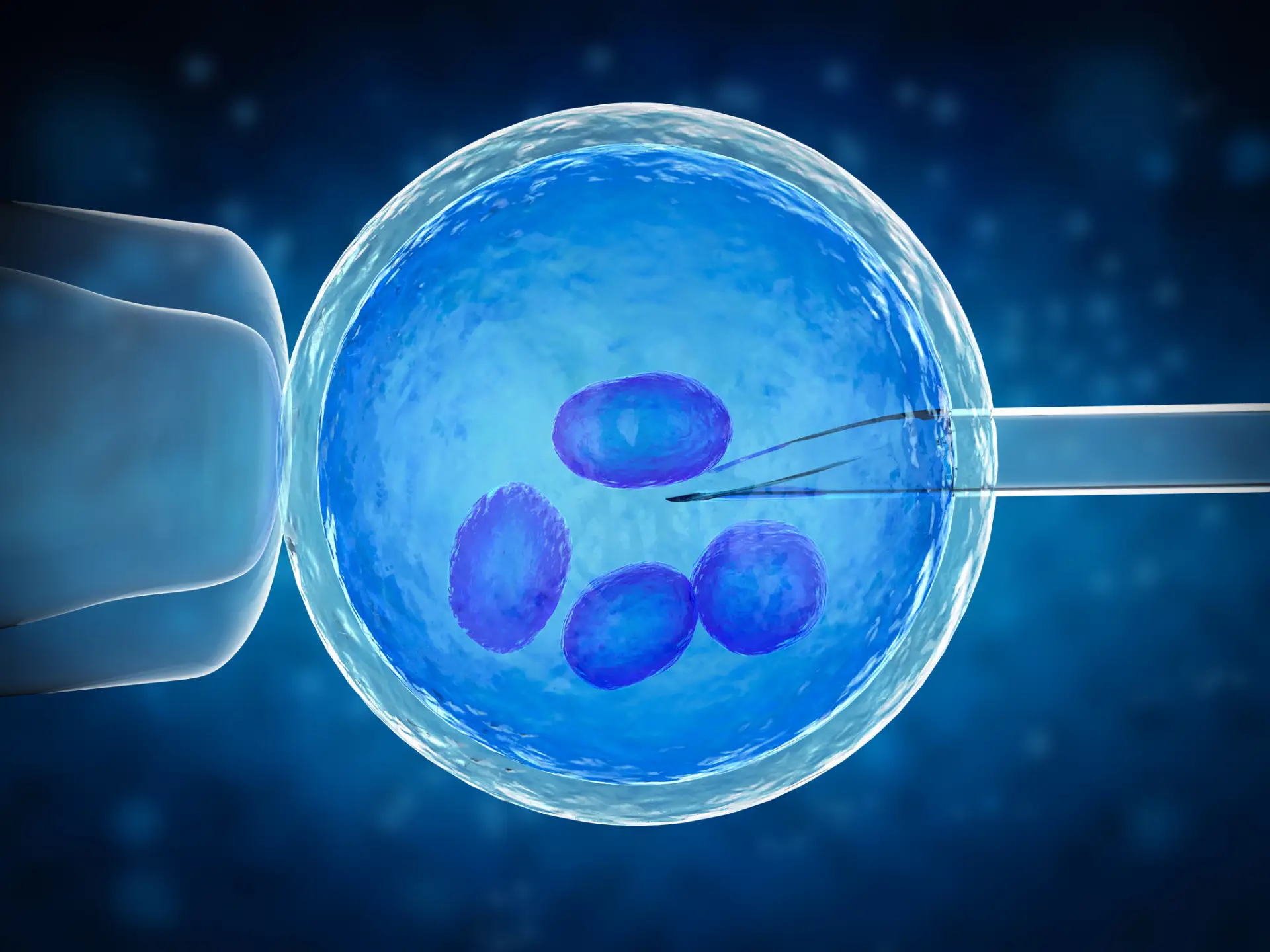 Fertilizare in vitro