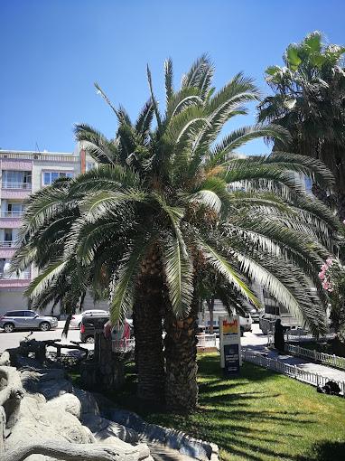 Avrasya Hospital International — fotografia 6